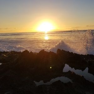 Meet your Posher, Lucy